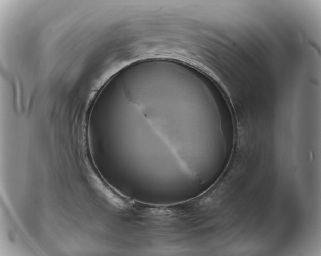 X0000102841525200808251145