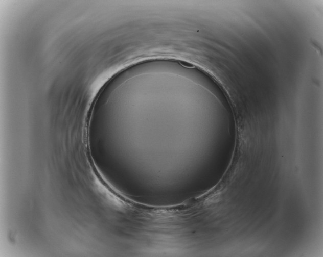 X0000102841527200808251145