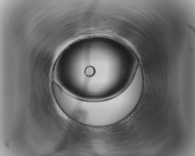 X0000102841528200808251145