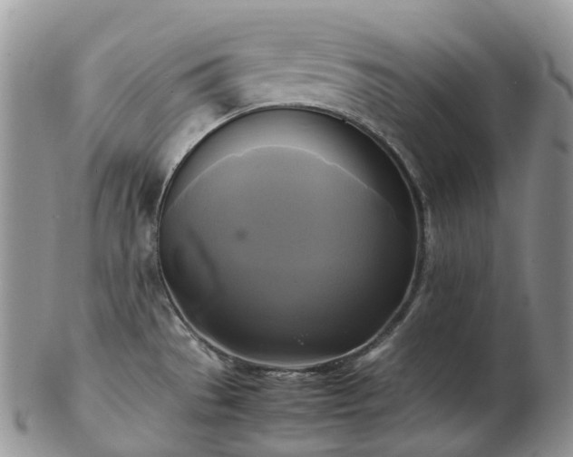 X0000102841529200808251145