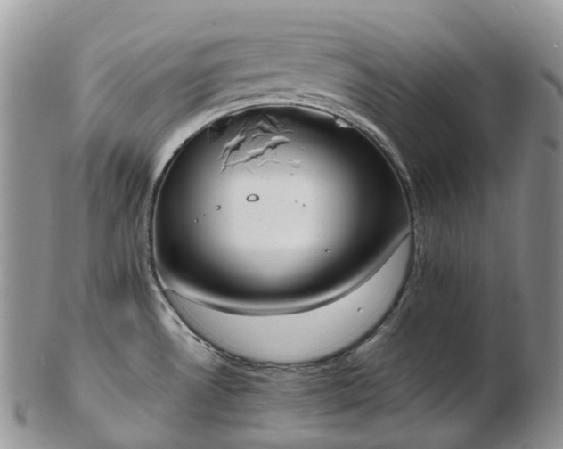 X0000102841530200808251145