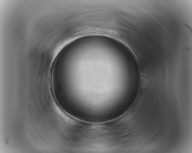 X0000102841531200808251145