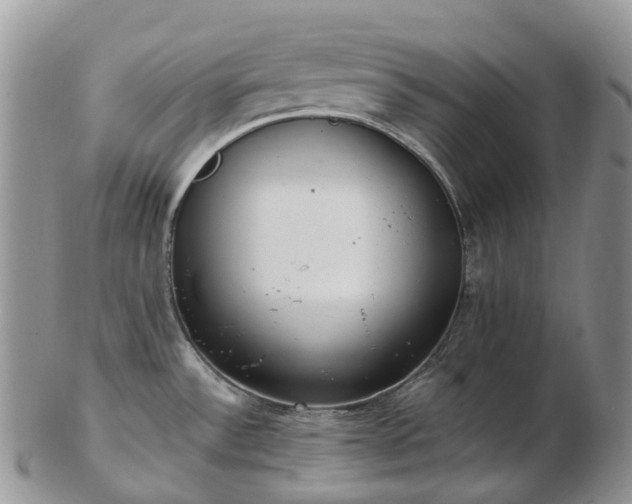 X0000102841532200808251145