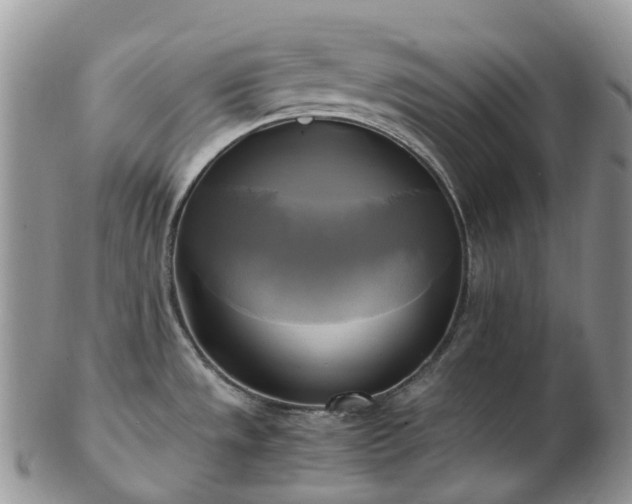 X0000102841533200808251145