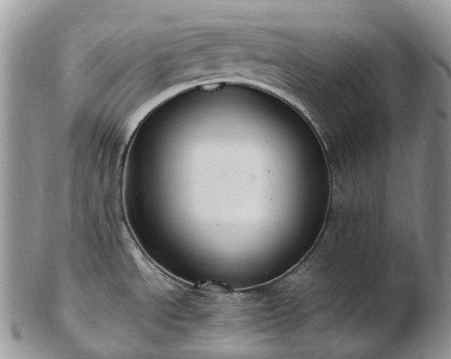 X0000102841534200808251145