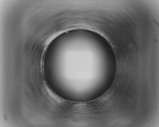 X0000102841535200808251145