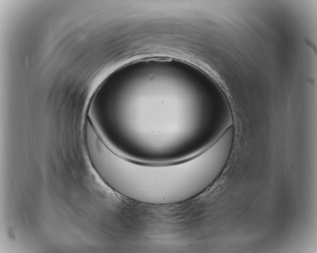 X0000102841536200808251145