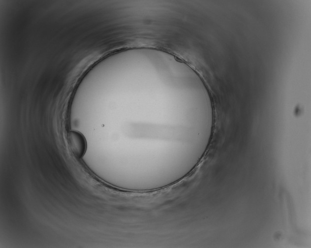 X0000102840001200809021348