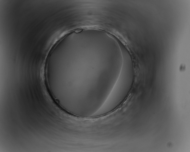 X0000102840002200809021348