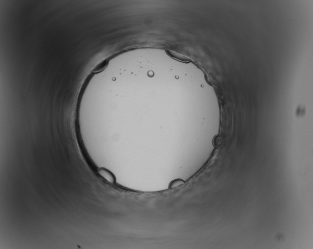 X0000102840003200809021348