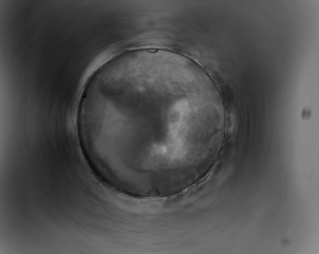 X0000102840004200809021348