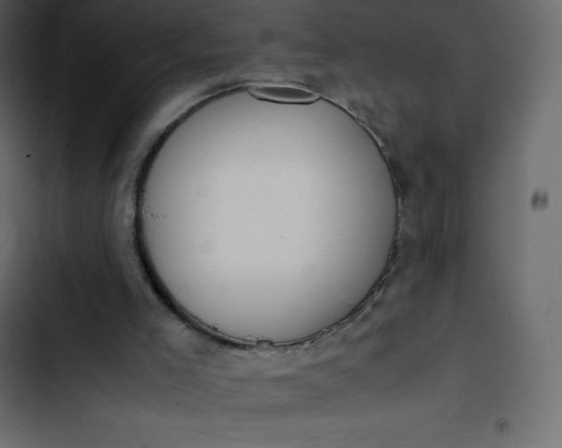 X0000102840005200809021348