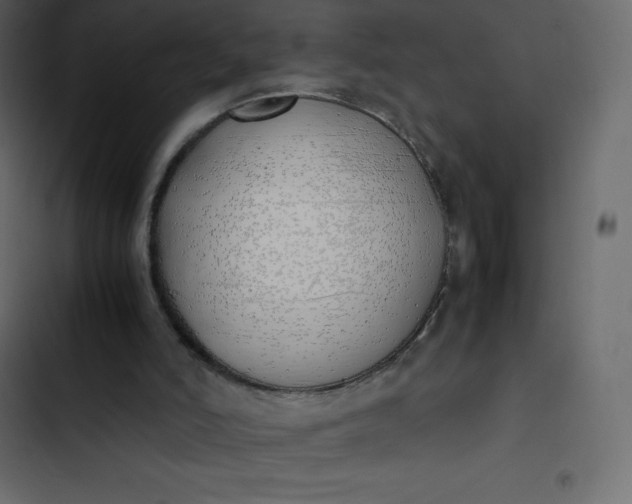 X0000102840006200809021348