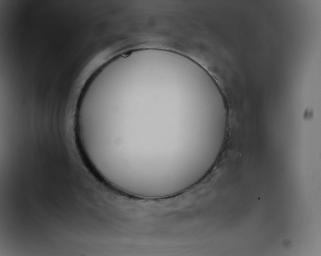 X0000102840007200809021348