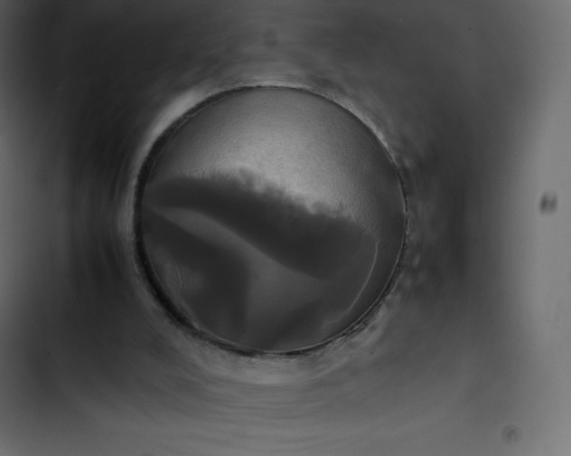 X0000102840008200809021348