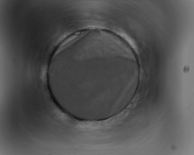 X0000102840009200809021348