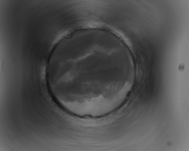 X0000102840010200809021348