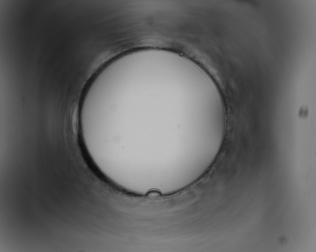 X0000102840011200809021348