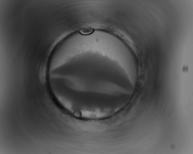 X0000102840012200809021348