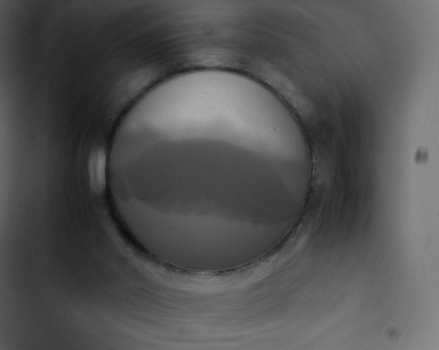 X0000102840014200809021348