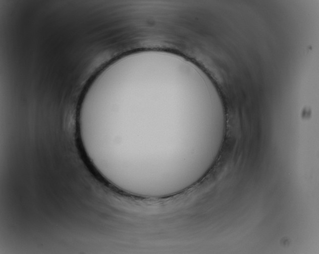 X0000102840015200809021348