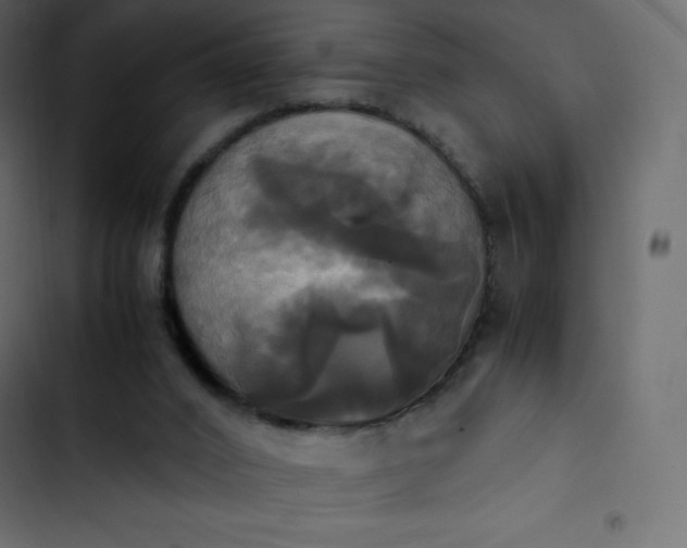 X0000102840016200809021348