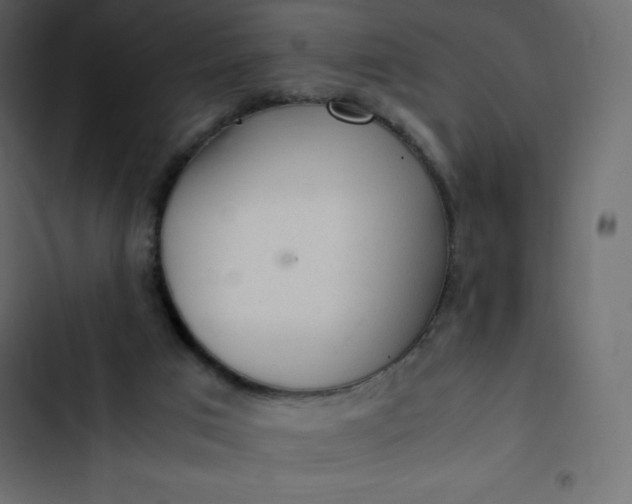 X0000102840017200809021348