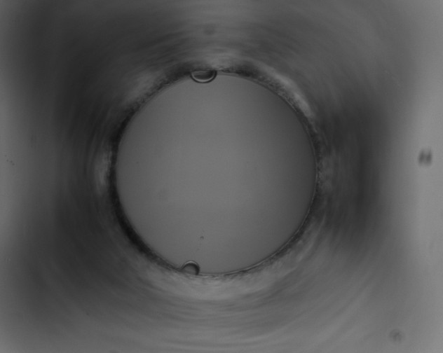 X0000102840018200809021348