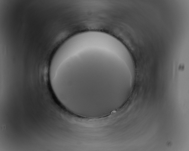 X0000102840019200809021348