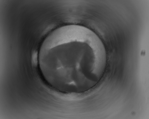 X0000102840020200809021348