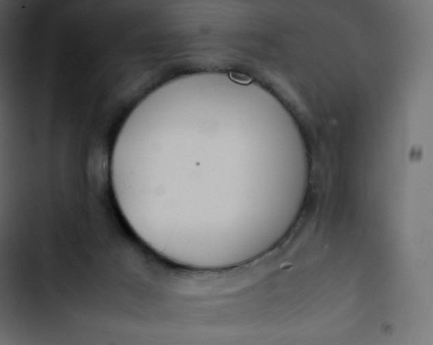 X0000102840021200809021348