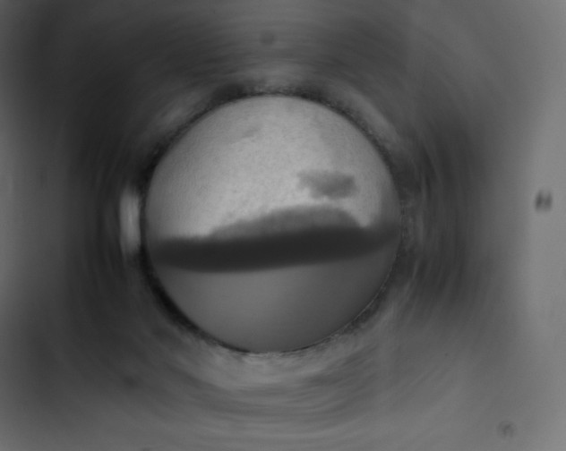 X0000102840022200809021348