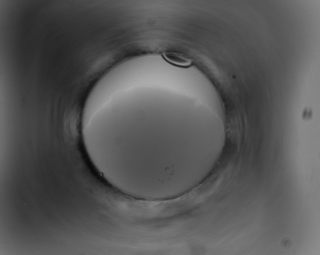 X0000102840023200809021348