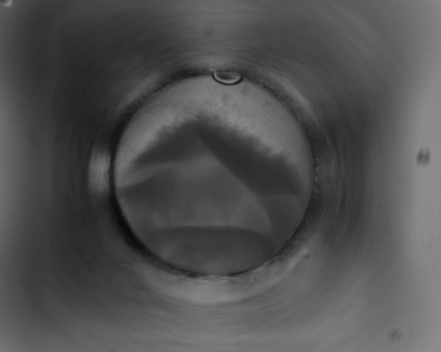 X0000102840024200809021348