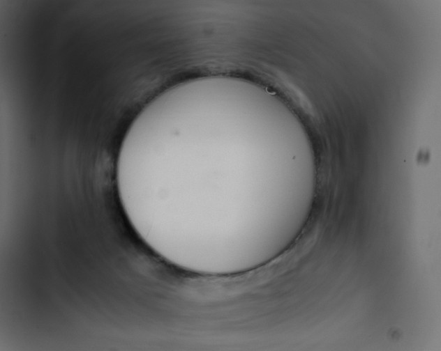 X0000102840025200809021348