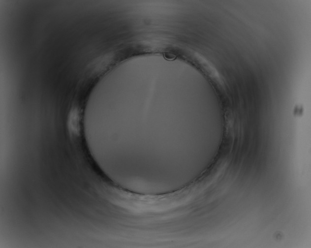 X0000102840026200809021348