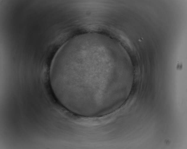 X0000102840029200809021347