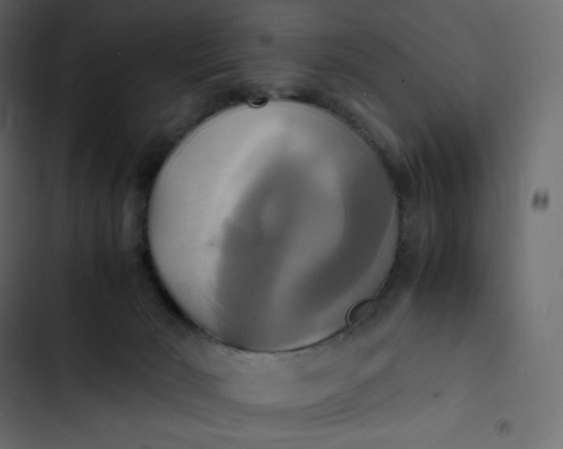 X0000102840030200809021347