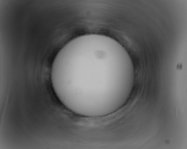 X0000102840033200809021347