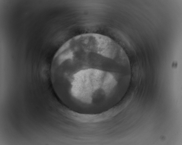 X0000102840034200809021347