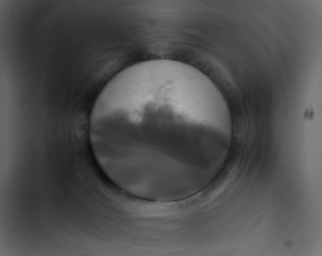 X0000102840036200809021347