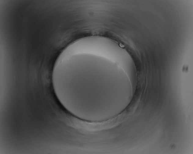 X0000102840039200809021347