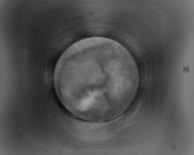 X0000102840040200809021347