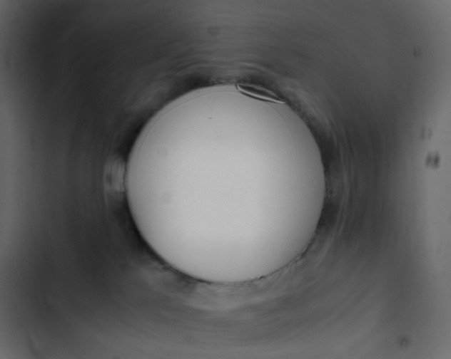 X0000102840041200809021347