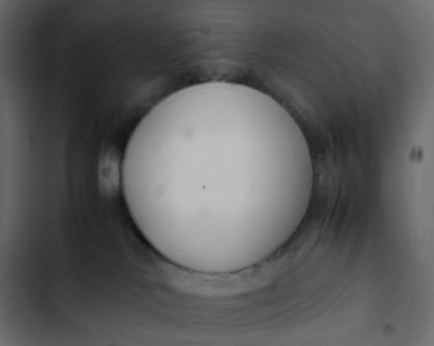 X0000102840042200809021347