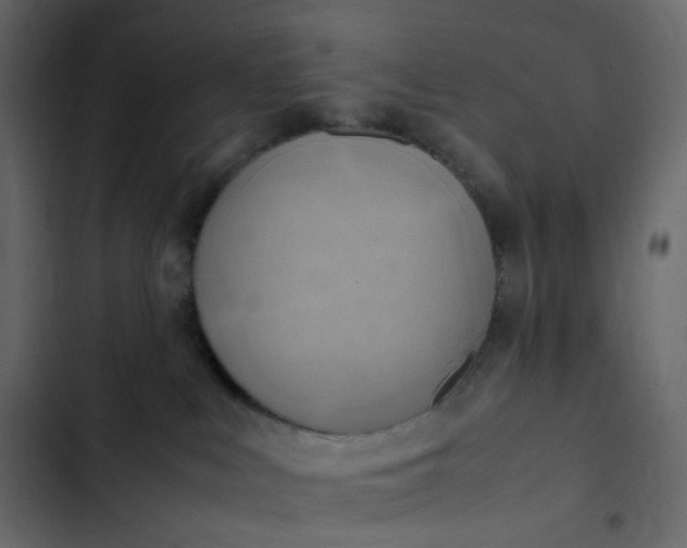 X0000102840043200809021347