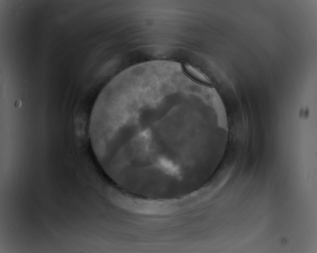 X0000102840044200809021347