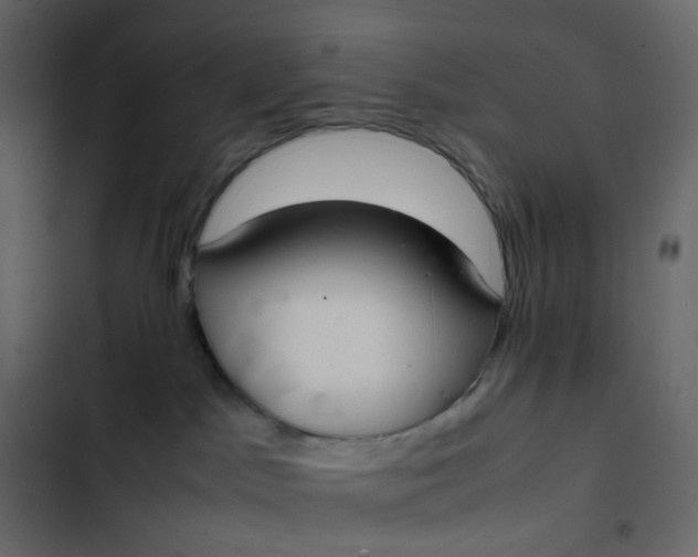 X0000102840045200809021347