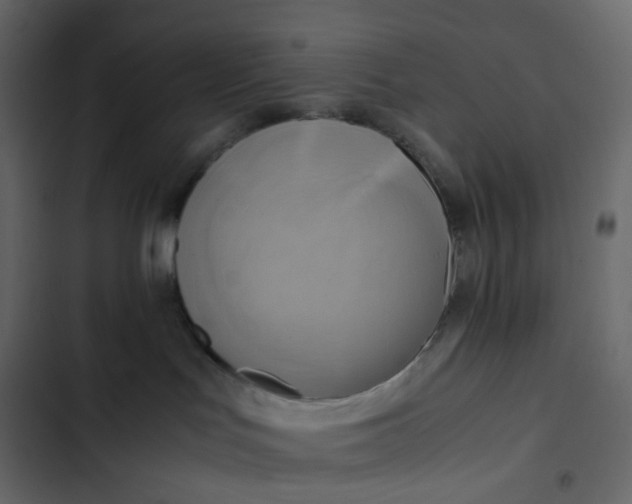 X0000102840047200809021347