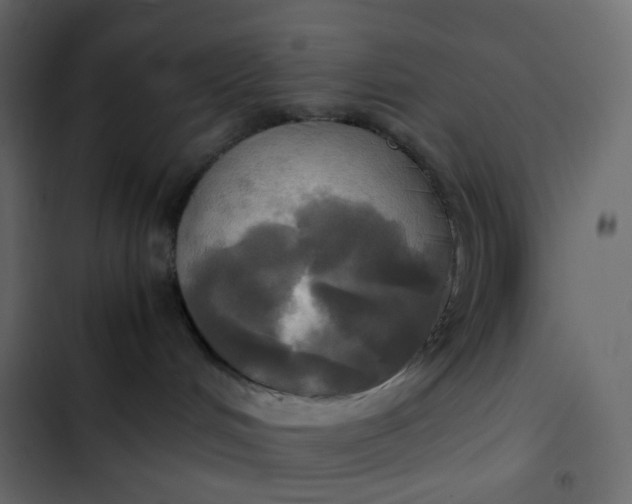 X0000102840048200809021347